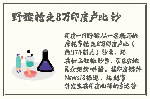 麻婆豆腐传媒看点